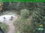 Archiv Foto Webcam Oberhof: Rennsteiggarten 13:00