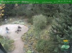 Archiv Foto Webcam Oberhof: Rennsteiggarten 15:00
