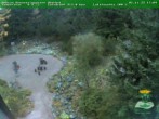 Archiv Foto Webcam Oberhof: Rennsteiggarten 17:00