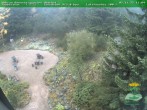 Archiv Foto Webcam Oberhof: Rennsteiggarten 11:00