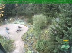 Archiv Foto Webcam Oberhof: Rennsteiggarten 13:00
