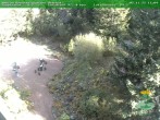 Archived image Webcam Oberhof - View Botanic Garden 11:00