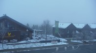 Archived image Webcam View in Torfhaus in the Harz Mountains 14:00