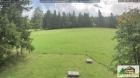 Archived image Webcam Todtnauberg - Ski slope at Scheuermattwiese 11:00