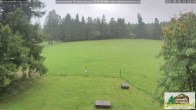 Archiv Foto Webcam Scheuermatthof Todtnauberg - Blick auf die Piste 11:00