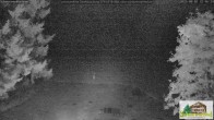 Archiv Foto Webcam Scheuermatthof Todtnauberg - Blick auf die Piste 21:00