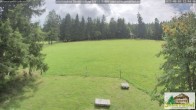 Archived image Webcam Todtnauberg - Ski slope at Scheuermattwiese 11:00