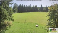 Archiv Foto Webcam Scheuermatthof Todtnauberg - Blick auf die Piste 11:00