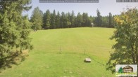 Archiv Foto Webcam Scheuermatthof Todtnauberg - Blick auf die Piste 13:00