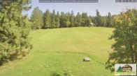 Archiv Foto Webcam Scheuermatthof Todtnauberg - Blick auf die Piste 15:00