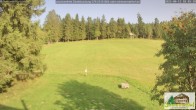 Archiv Foto Webcam Scheuermatthof Todtnauberg - Blick auf die Piste 17:00