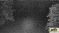 Archived image Webcam Todtnauberg - Ski slope at Scheuermattwiese 01:00