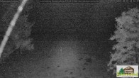 Archived image Webcam Todtnauberg - Ski slope at Scheuermattwiese 03:00