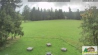 Archiv Foto Webcam Scheuermatthof Todtnauberg - Blick auf die Piste 08:00