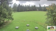 Archiv Foto Webcam Scheuermatthof Todtnauberg - Blick auf die Piste 10:00