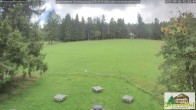 Archiv Foto Webcam Scheuermatthof Todtnauberg - Blick auf die Piste 11:00