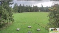 Archiv Foto Webcam Scheuermatthof Todtnauberg - Blick auf die Piste 13:00