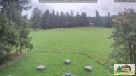 Archiv Foto Webcam Scheuermatthof Todtnauberg - Blick auf die Piste 17:00