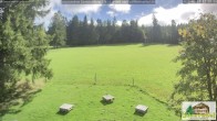 Archived image Webcam Todtnauberg - Ski slope at Scheuermattwiese 11:00