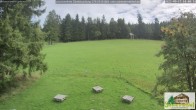 Archived image Webcam Todtnauberg - Ski slope at Scheuermattwiese 13:00