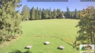 Archived image Webcam Todtnauberg - Ski slope at Scheuermattwiese 15:00