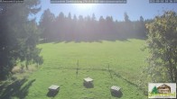 Archived image Webcam Todtnauberg - Ski slope at Scheuermattwiese 09:00