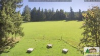 Archived image Webcam Todtnauberg - Ski slope at Scheuermattwiese 11:00