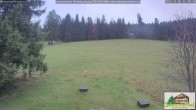 Archived image Webcam Todtnauberg - Ski slope at Scheuermattwiese 11:00