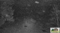 Archiv Foto Webcam Scheuermatthof Todtnauberg - Blick auf die Piste 03:00