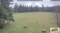 Archiv Foto Webcam Scheuermatthof Todtnauberg - Blick auf die Piste 06:00
