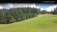 Archiv Foto Webcam Skilifte Kalte Herberge 13:00