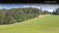 Archiv Foto Webcam Skilifte Kalte Herberge 15:00