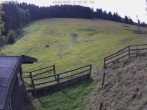 Archived image Webcam Willingen-Usseln: Skilift Emmet 11:00