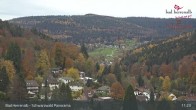 Archiv Foto Webcam Bad Herrenalb: Hotel Schwarzwald Panorama 10:00