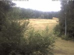 Archived image Webcam Enzklösterle Ski Centre: Slope 11:00