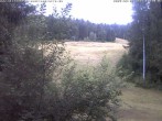 Archiv Foto Webcam Skizentrum Enzklösterle 19:00