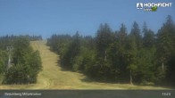 Archived image Webcam Hochficht Ski Resort 12:00