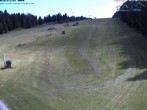 Archived image Webcam Predigtstuhl slope 13:00