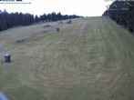 Archived image Webcam Predigtstuhl slope 11:00