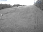 Archiv Foto Webcam St. Englmar: Predigtstuhl Piste 05:00