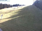Archived image Webcam Predigtstuhl slope 11:00