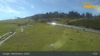 Archived image Webcam Isskogel - Zillertal Arena 14:00