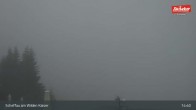 Archiv Foto Webcam Scheffau am Wilden Kaiser - Brandstadl 14:00