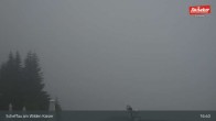 Archiv Foto Webcam Scheffau am Wilden Kaiser - Brandstadl 16:00