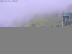 Archiv Foto Webcam Brauneck: Stie-Alm am Idealhang 13:00