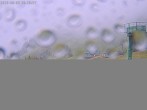 Archiv Foto Webcam Brauneck: Stie-Alm am Idealhang 17:00