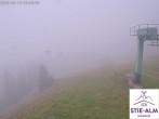 Archiv Foto Webcam Brauneck: Stie-Alm am Idealhang 08:00