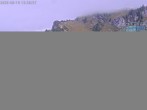 Archiv Foto Webcam Brauneck: Stie-Alm am Idealhang 11:00