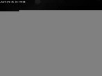 Archiv Foto Webcam Brauneck: Stie-Alm am Idealhang 19:00