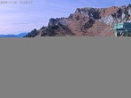 Archiv Foto Webcam Brauneck: Stie-Alm am Idealhang 11:00
